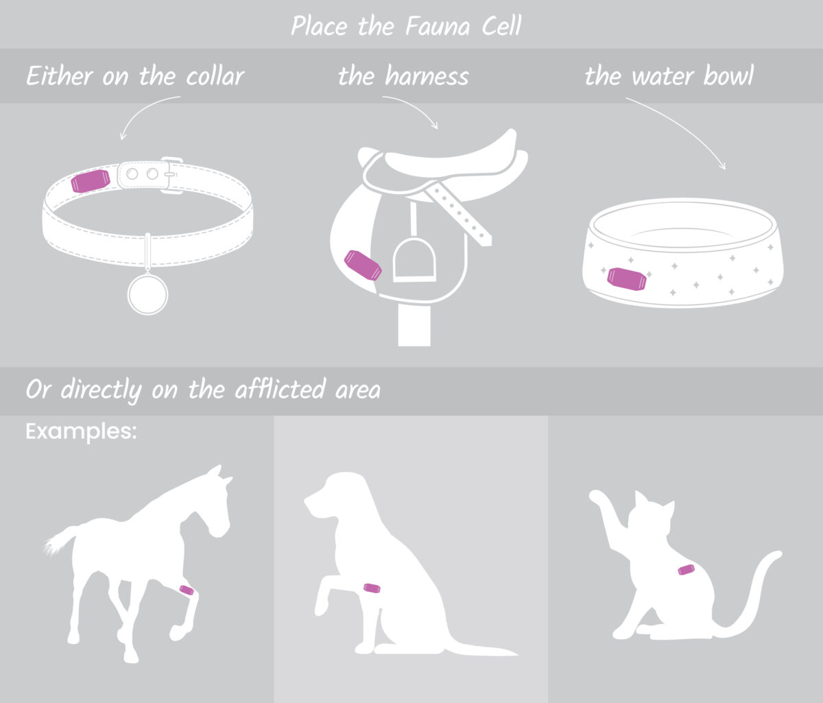 Faune Cell placement