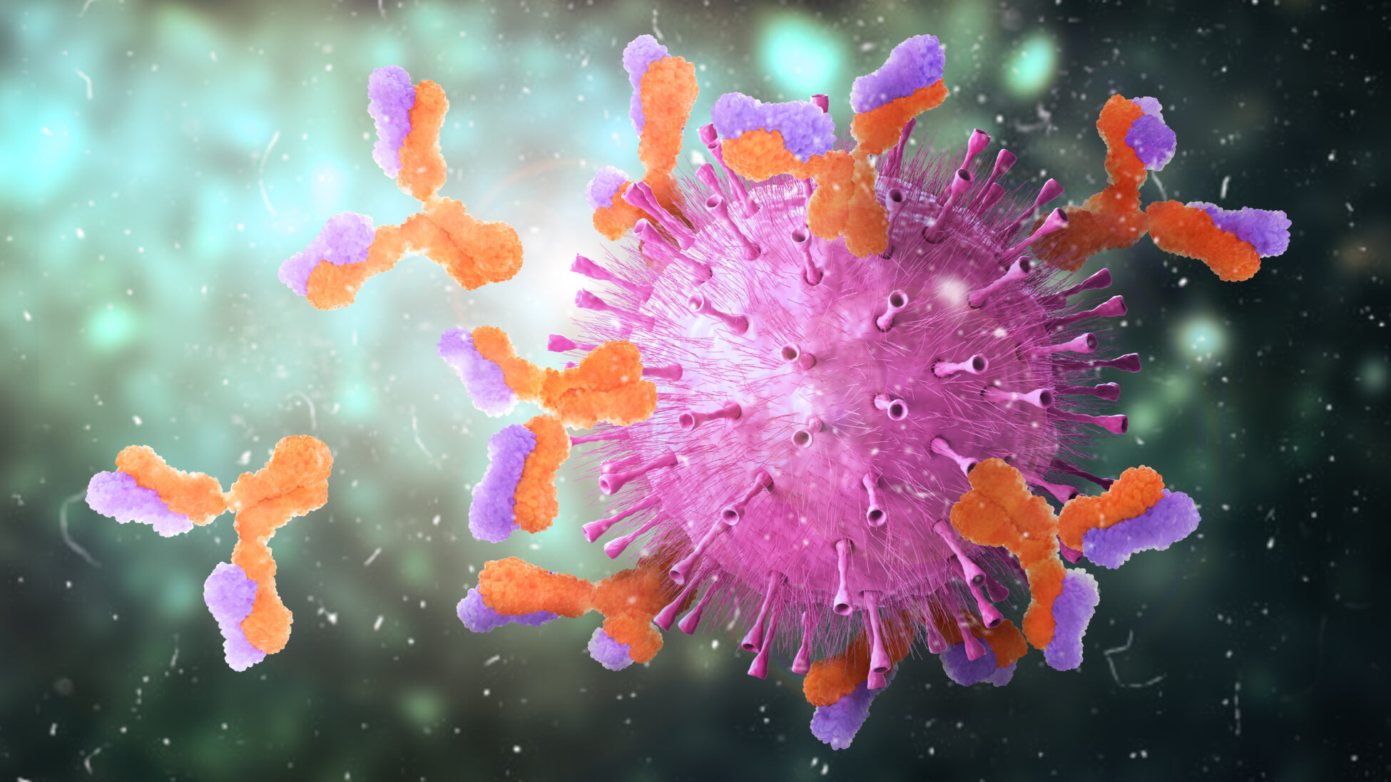 immune systems antibodies attacking virus 