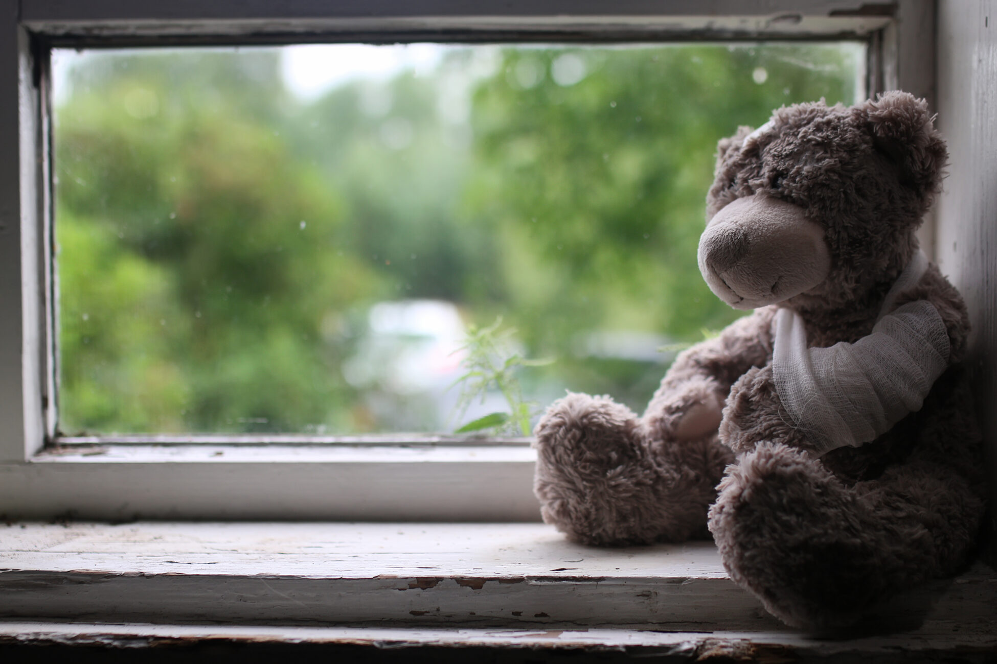 damaged teddy bear on sitting by window